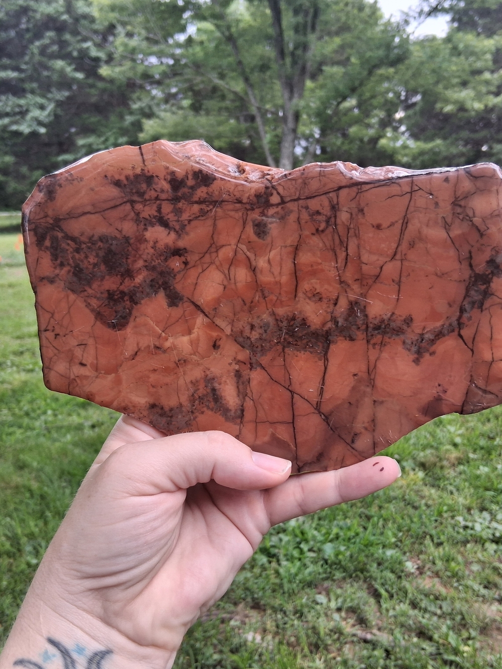 Kona Dolomite Polished Slab Display 8.5" Stone Rock Specimen Michigan